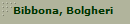 Bibbona, Bolgheri