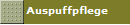 Auspuffpflege