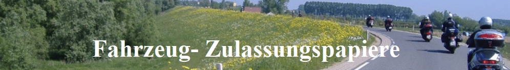 Fahrzeug- Zulassungspapiere