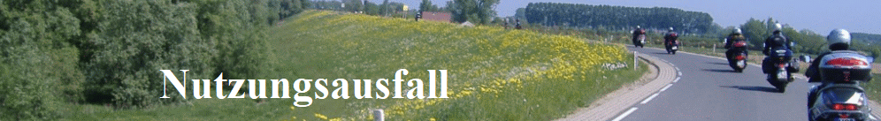 Nutzungsausfall